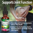 Nature's Answer - Celery Seed - 30ml - Natural Herbal Extract - Supports Joint Health & Overall Well-Being