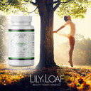 Lily & Loaf Vitamin C High Strength 1,000mg  Controlled Release (90 Tablets)