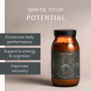 Ancient + Brave - True Creatine+ - 180g - Premium Creatine Monohydrate Powder - 100% Micronized for Women - High Performance, Strength Building - Muscle Recovery, Cognitive Function, Wellness