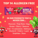 Creative Nature Snack Bars | Berry & Beetroot Flavour | Gluten Free | Oat and Fruit | Healthy Kids Snack Bar, Lunchbox Snacks | Top 14 Allergen Free |12 Bars x 25g
