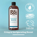 Bulldog Skincare Peppermint & Eucalyptus Shower Gel 500ml - Mens Shower Gel - Natural Fragrance