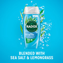 Radox Mineral Therapy Feel Active Shower Gel with Sea Salt & Lemongrass Scent - 225ml (Pack of 6)