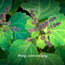 Friendly Soap Natural Handmade Patchouli and Sandalwood Soap (Case of 6)