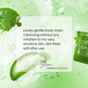 Odylique Aloe Vera Body Wash 500ml | Unscented | Vegan, Organic & 100% Natural | Sulphate Free