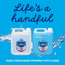Carex Original Professional Antibacterial Hand Wash - Bulk Buy Eco Refill, Gentle & Effective Liquid Hand Soap (2 X 5L)