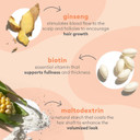 Briogeo Blossom & Bloom Volumizing Conditioner, Fortified with Follicle Stimulating Ginger, Ginseng, and Biotin for Full and Healthy Hair, 8 oz, Shampoo, l