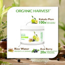 Organic Harvest Anti Tan Scrub with Liquid Shea Butter, Helps in Removing Tan, PeTA Certified, Paraben & Sulphate Free - 100gm Organic Harvest Anti Tan Scrub with Liquid Shea Butter, Helps in Removing Tan, PeTA Certified, Paraben & Sulphate Free - 100gm