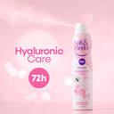 SOFT & GENTLE Anti-perspirant Deodorant, Skin Expert Hyaluronic Care, Rosewater Dew, 72H Protection 250ml