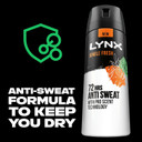 Lynx Jungle Fresh Antiperspirant Deodorant with a palm leaves & amber scent Spray for 72-hour sweat and odour protection 150 ml
