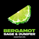 Lynx Fine Fragrance Collection Aqua Bergamot Premium Deodorant Bodyspray 150 ml