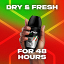 Lynx Africa Antiperspirant Roll On 50 ml
