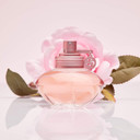 Shakira Perfumes - S by Shakira Eau Florale for Women - Long Lasting - Femenine, Romantic and Charming Fragance - Fresh and Floral Notes - Ideal for Day Wear - 50 ml Shakira Perfumes - S by Shakira Eau Florale for Women - Long Lasting - Femenine, Romantic and Charming Fragance - Fresh and Floral Notes - Ideal for Day Wear - 50 ml