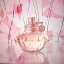 Shakira Perfumes - S by Shakira Eau Florale for Women - Long Lasting - Femenine, Romantic and Charming Fragance - Fresh and Floral Notes - Ideal for Day Wear - 50 ml Shakira Perfumes - S by Shakira Eau Florale for Women - Long Lasting - Femenine, Romantic and Charming Fragance - Fresh and Floral Notes - Ideal for Day Wear - 50 ml