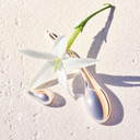 BOSS ALIVE Eau de Toilette for Her