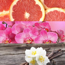 Calvin Klein CKIN2U For Her Eau de Toilette