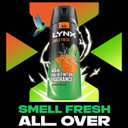 Lynx Jungle Fresh Aerosol Body Spray deodorant with a palm leaves & amber scent 48 hours of odour-busting zinc tech 6x 250 ml
