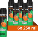 Lynx Jungle Fresh Aerosol Body Spray deodorant with a palm leaves & amber scent 48 hours of odour-busting zinc tech 6x 250 ml