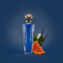 Shakira Dream Col 50ml Est + Bl 75ml 125ml