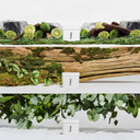 Fussy - Mens Natural Refillable Deodorant - Aluminium Free - 24 Hour Protection - Midnight Black Case & Variety Refill Pack (3 x 40g) - Wilderness, Wavy Days & Forest Haze - Vegan & Cruelty Free