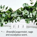 Fussy - Natural Refillable Deodorant - Aluminium Free - 24 Hour Protection - Mint Scent (3 x 40g) & Ocean Blue Case - Peppermint, Eucalyptus & Sage - Vegan & Cruelty Free - 100% Natural & Effective