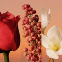 CALVIN KLEIN Eternity, Eau de Parfum Intense for Women, Floral Spicy Fragrance with Notes of Turkish Rose Absolute, Sichuan Pepper and Jasmine Absolute Sambac, High Longevity