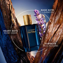 DAVIDOFF Cool Elixir - Parfum Intense for Him - Woody Fragrance with Notes of Rose Oxide, Lavandin and Oud Accord - High Longevity