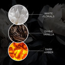 Baylis & Harding The Edit Twilight Amber Body & Hair Mist, 250 ml (Pack of 6) - Vegan Friendly Baylis & Harding The Edit Twilight Amber Body & Hair Mist, 250 ml (Pack of 6) - Vegan Friendly