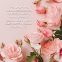 Baylis & Harding Royale Garden Rose, Poppy & Vanilla Luxury Wash Bag Gift Set (Pack of 1) - Vegan Friendly