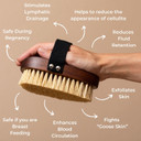 Urban Veda Ayurvedic Dry Body Brush |Dry Body Brushing |Walnut Wood & Cactus Fibre | Silicone Body Scrubber Alternative| Exfoliating Scrubbing Brush for Lymphatic Drainage |Detox & Cellulite Reduction