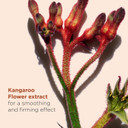 Clarins Total Eye Smooth 15ml