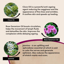 Urban Veda Reviving Anti Aging Face Wash | For Mature, Tired & Wrinkled Skin | Contains Organic Rose water & Jasmine oil | Rose Flower Oil and Arjuna Extract | Simple Face Wash Women and Men |150ml