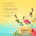 ELEMIS Pro-Collagen Cleansing Balm 50g  Nourishing Makeup Remover & Deep Cleanser  Hydrating Face Balm for All Skin Types