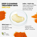 Botanical Lab Turmeric Blemish Treatment Clay Mask PACKAGING MAY VARY, White, 100 millilitre