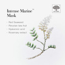 New Nordic Intense Marine Mask - Moisturising Mask - Anti Wrinkle & Firming Face Cream - 50ml