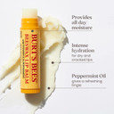 Burt's Bees Moisturising Lip Balm, Salted Caramel Flavour, With Beeswax and Vitamin E, Limited Edition, 4.25g
