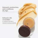 Burt's Bees Conditioning Mocha Lip Scrub and Exfoliator, With coffee grounds & Beeswax, to Exfoliate and Nourish Lips, 7g