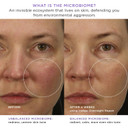 Tatcha Indigo Overnight Repair | Face Cream & Serum Treatment, Fragrance Free Night Cream, 50 Ml | 1.7 Oz