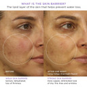 Tatcha Indigo Overnight Repair | Face Cream & Serum Treatment, Fragrance Free Night Cream, 50 Ml | 1.7 Oz