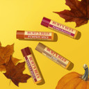 Burt's Bees Moisturising Lip Balm, Tinted Lip Balm and Lip Shimmer, Mistletoe Kiss (Pack of 2)