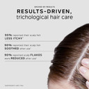 Philip Kingsley | Flaky/Itchy Scalp Masks | Anti-Dandruff Mask For Flaky, Itchy, Dry, Oily Scalps | Cleansing Scalp Care | Mask that Hydrates, Soothes and Calms | 2 x 2ml