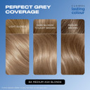 Clairol Lasting Colour Permanent Hair Dye | Ideal Grey Coverage | Shiny and Moisturised Hair | 8A Medium Ash Blonde