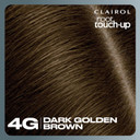 Clairol Root Touch-Up Permanent Hair Dye, 4G Dark Golden Brown, Packaging may vary