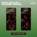 Clairol Natural Instincts Semi-Permanent No Ammonia Hair Dye, 4RR Dark Red