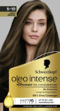 Schwarzkopf Oleo Intense Permanent Oil Colour 4-60 Gold Brown Hair Dye, 100% Grey Coverage, Conditioner with HaptIQ System, Long-Lasting Colour, Ammonia Free Hair Dye