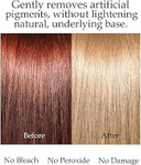 Scott Cornwall Decolour Hair Colour Stripper, Removes natural and artificial pigment, Ammonia-Free Colour Stripper and Lightener, Low-Peroxide Cruelty-Free