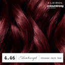 Clairol Colour Strong Permanent Hair Dye - 4.46 Intense Dark Red