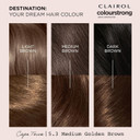 Clairol Colour Strong Permanent Hair Dye - 5.3 Medium Golden Brown