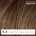 Clairol Colour Strong Permanent Hair Dye - 5.3 Medium Golden Brown