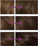 Clairol Nice'n Easy No Ammonia Hair Dye, 77 Medium Ash Brown