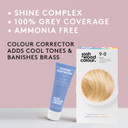 Josh Wood Permanent Colour 8.0 and Champagne Shade Shot 6.5 to 9 Bundle- Striking Permanent Colour with Shine Complex, 100% Grey Coverage, Ammonia Free, Kind to Hair Ingredients